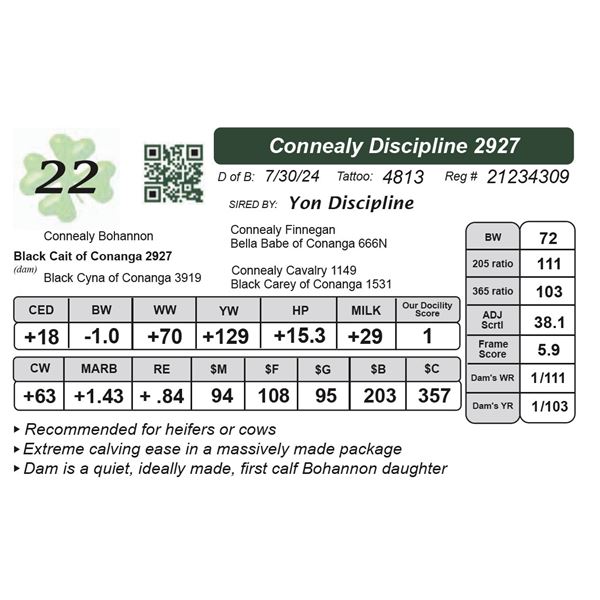 Connealy Discipline 2927