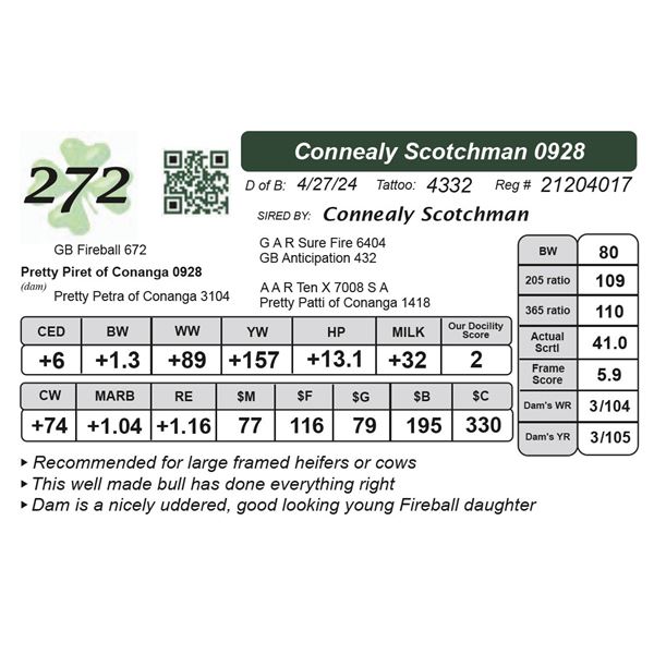 Connealy Scotchman 0928