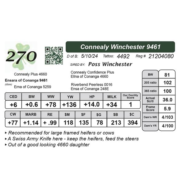 Connealy Winchester 9461