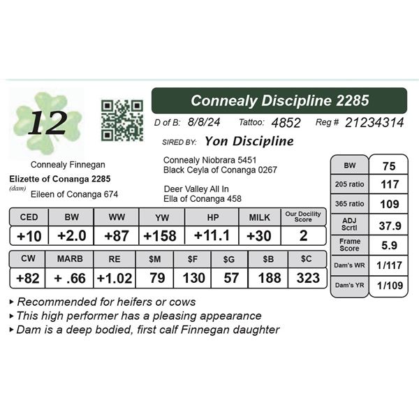 Connealy Discipline 2285