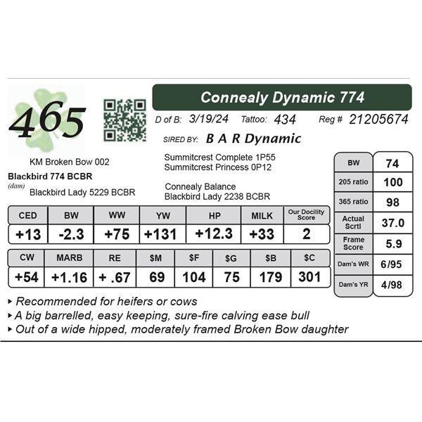 Connealy Dynamic 774