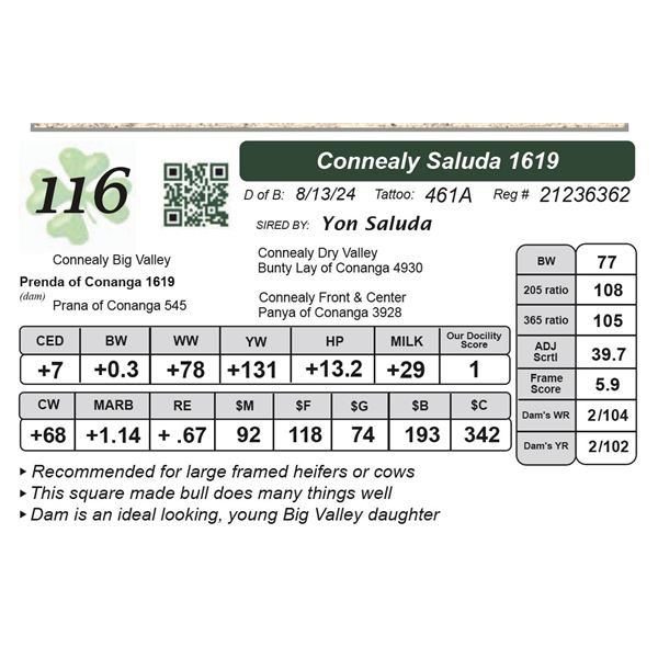 Connealy Saluda 1619