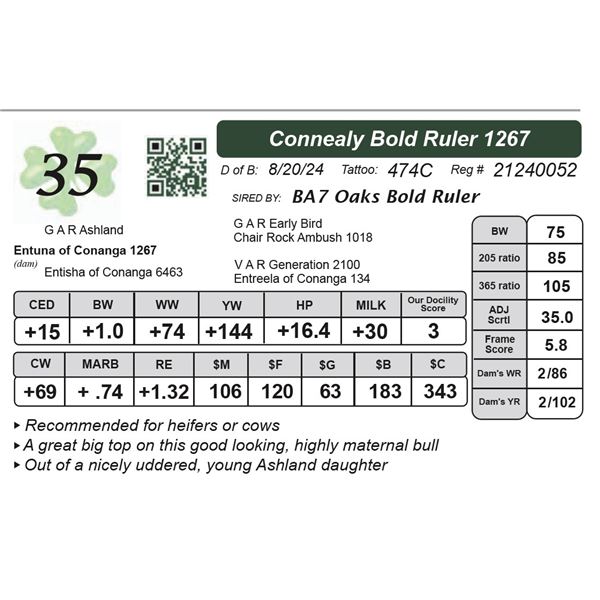 Connealy Bold Ruler 1267