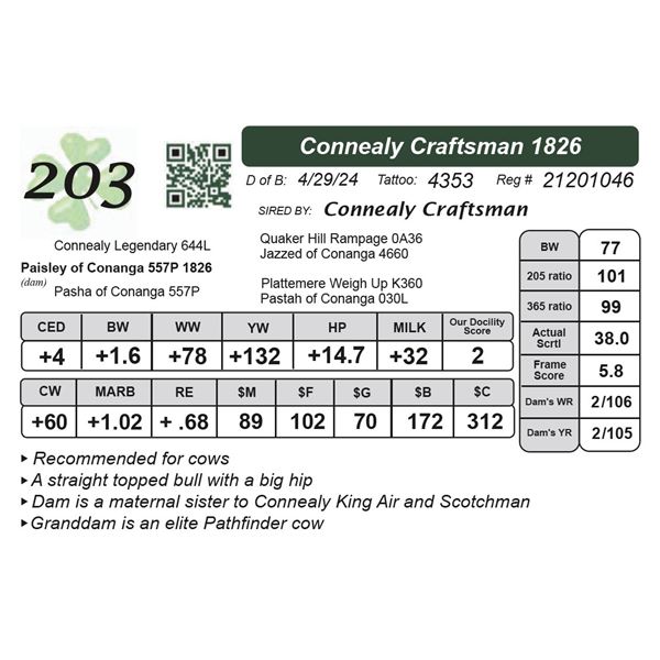 Connealy Craftsman 1826
