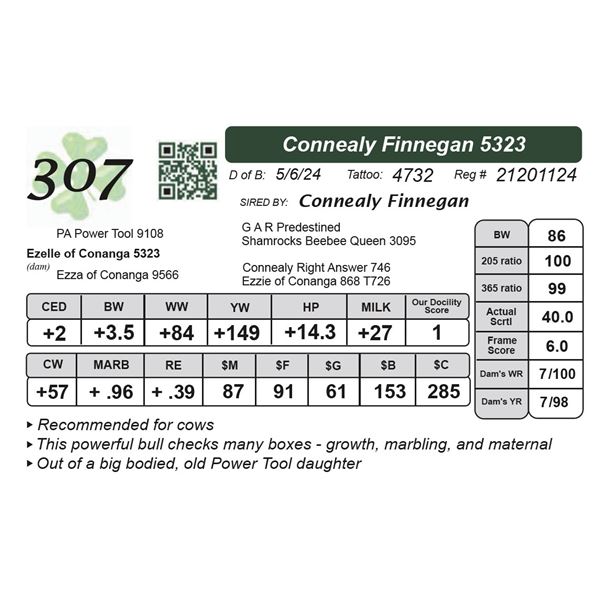 Connealy Finnegan 5323