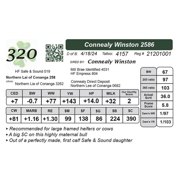 Connealy Winston 2586
