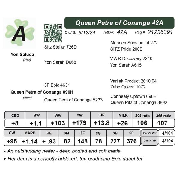 Queen Petra of Conanga 42A