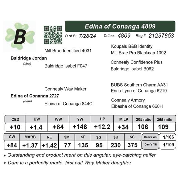 Edina of Conanga 4809