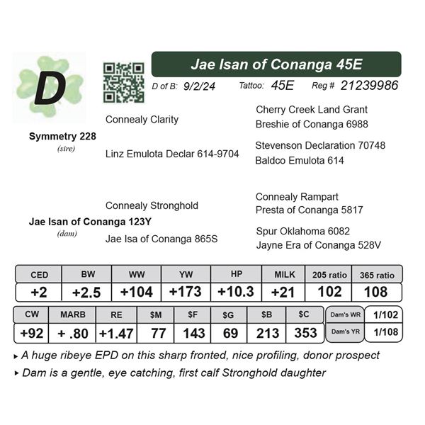 Jae Isan of Conanga 45E