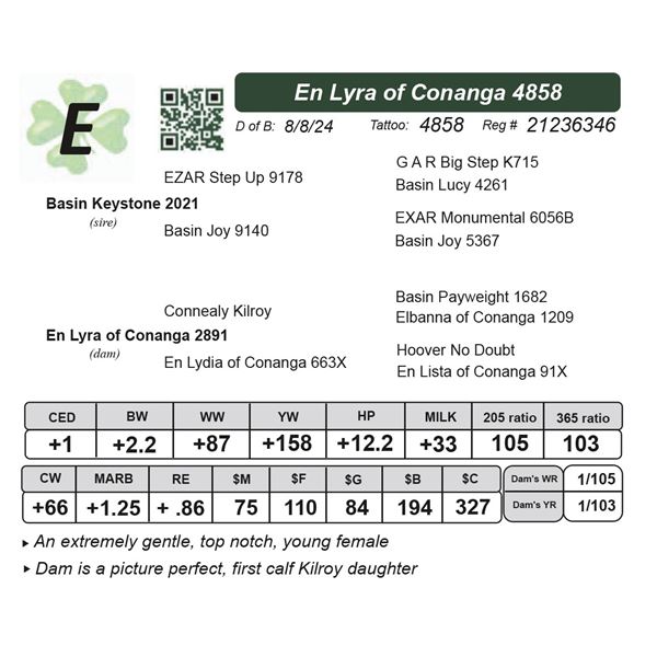 En Lyra of Conanga 4858