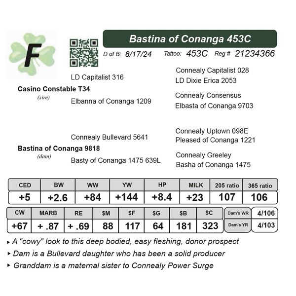 Bastina of Conanga 453C