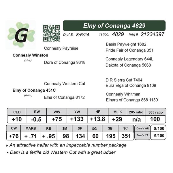 Elny of Conanga 4829