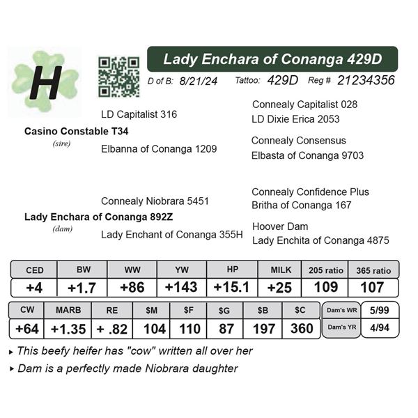 Lady Enchara of Conanga 429D