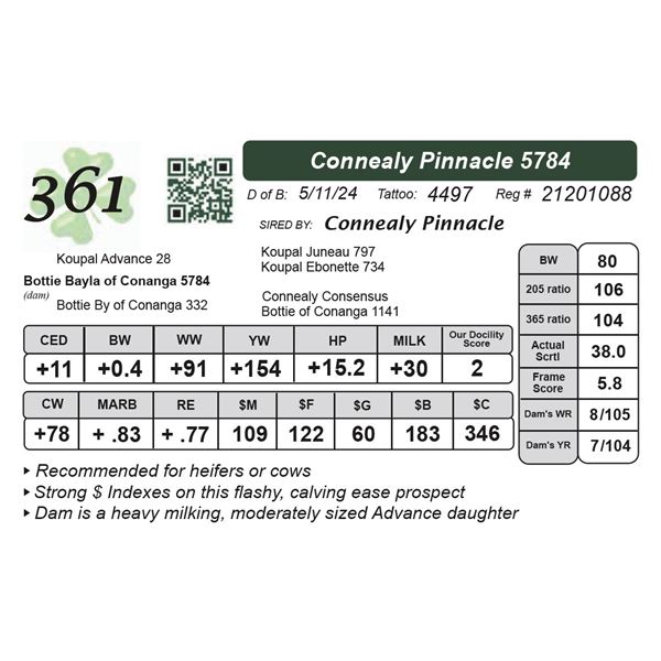 Connealy Pinnacle 5784