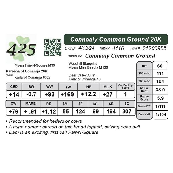 Connealy Common Ground 20K
