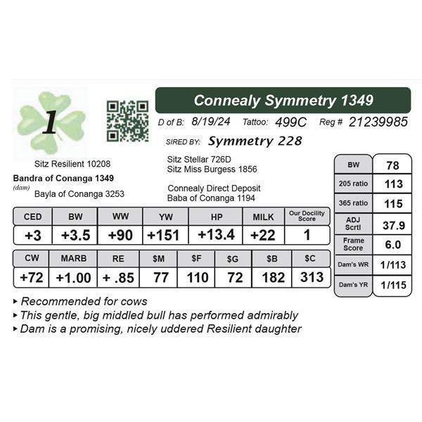Connealy Symmetry 1349