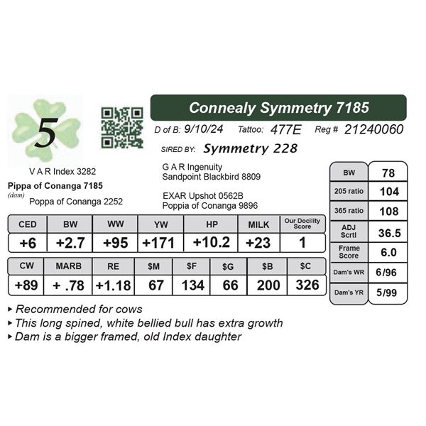 Connealy Symmetry 7185