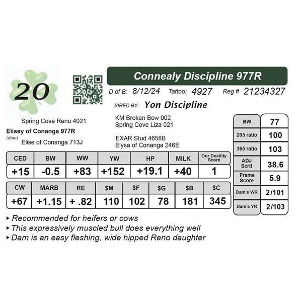Connealy Discipline 977R