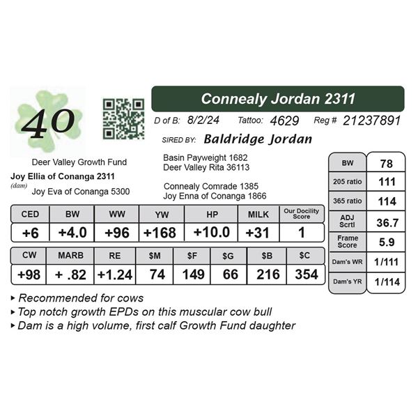 Connealy Jordan 2311