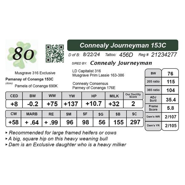 Connealy Journeyman 153C