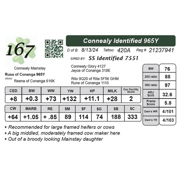 Connealy Identified 965Y