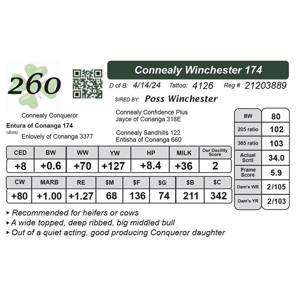 Connealy Winchester 174