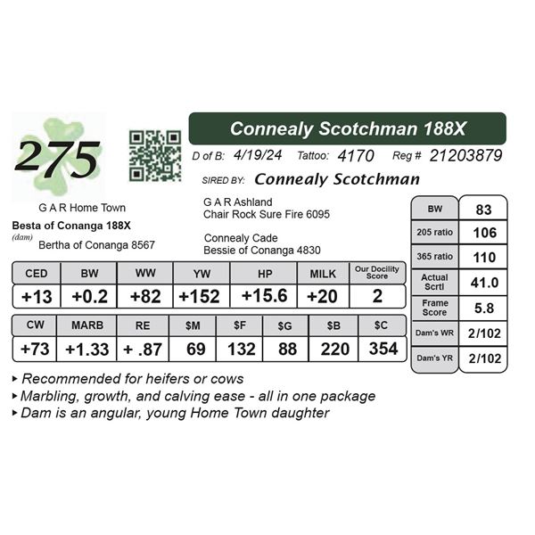 Connealy Scotchman 188X