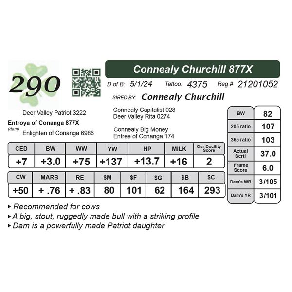 Connealy Churchill 877X