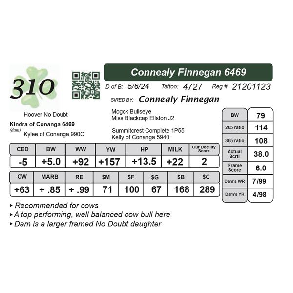 Connealy Finnegan 6469