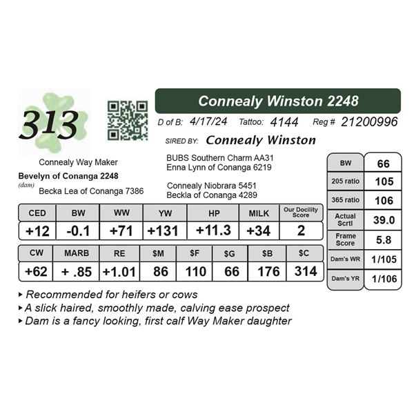 Connealy Winston 2248