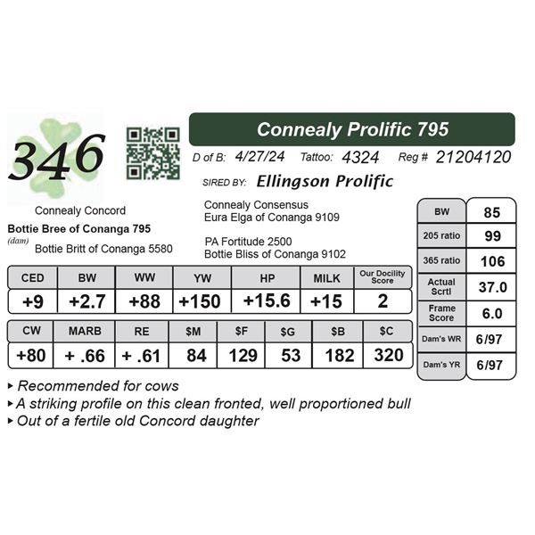 Connealy Prolific 795