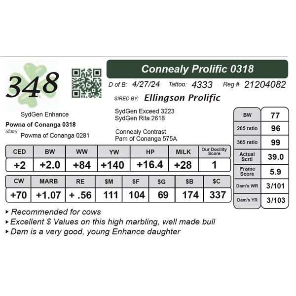 Connealy Prolific 0318