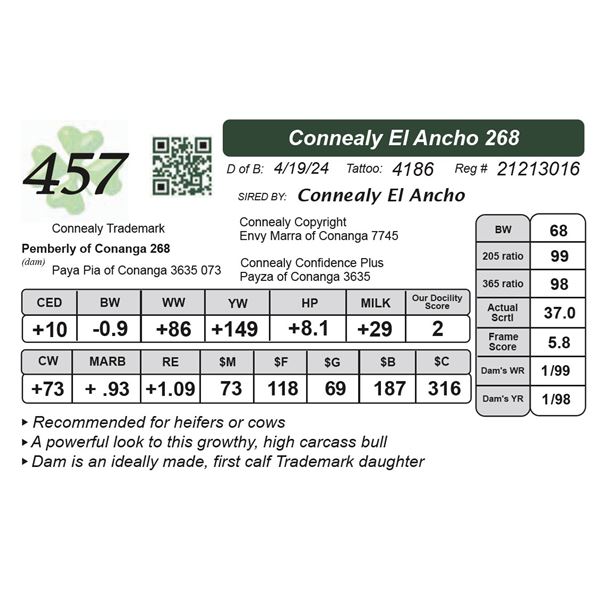 Connealy El Ancho 268