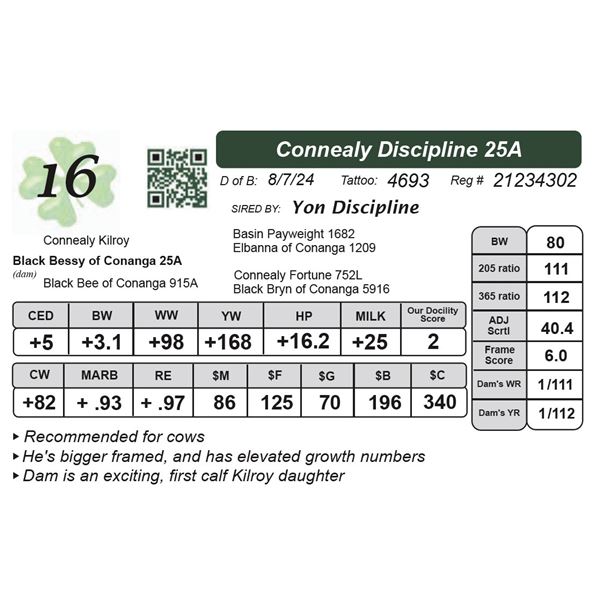 Connealy Discipline 25A