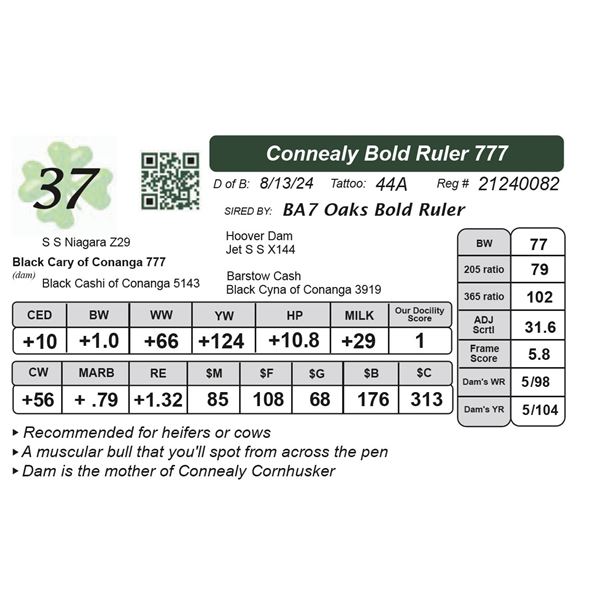 Connealy Bold Ruler 777