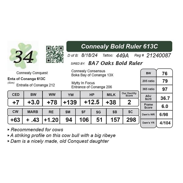 Connealy Bold Ruler 613C