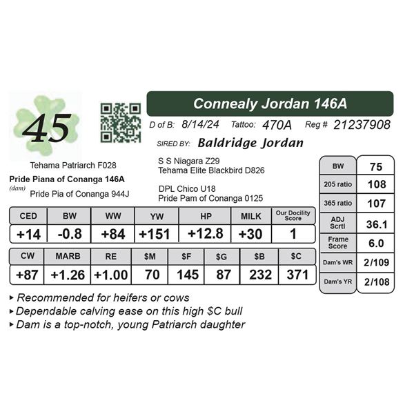 Connealy Jordan 146A