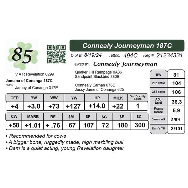 Connealy Journeyman 187C