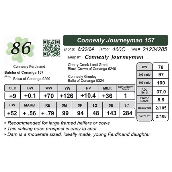 Connealy Journeyman 157