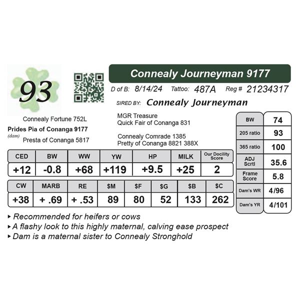 Connealy Journeyman 9177
