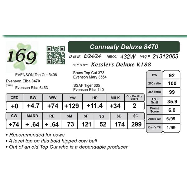 Connealy Deluxe 8470