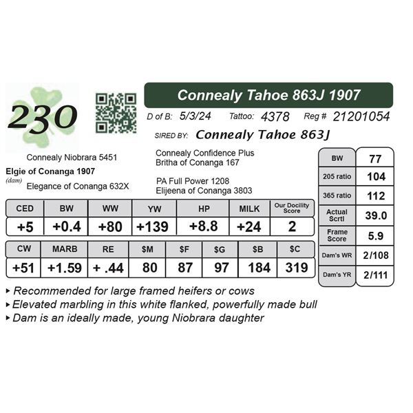 Connealy Tahoe 863J 1907