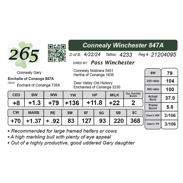 Connealy Winchester 847A