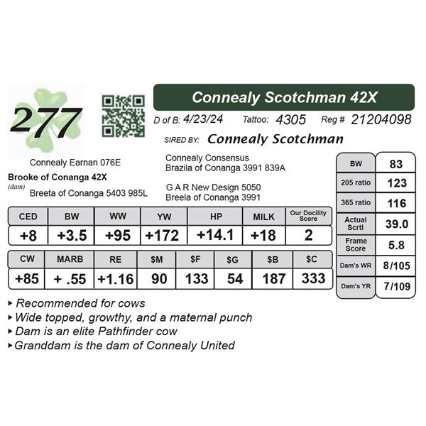 Connealy Scotchman 42X