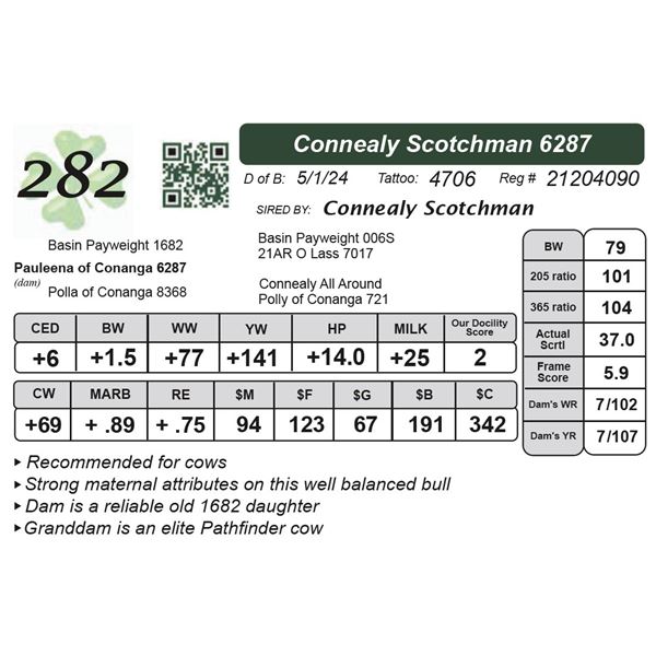 Connealy Scotchman 6287