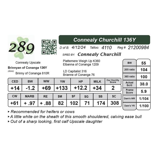 Connealy Churchill 136Y