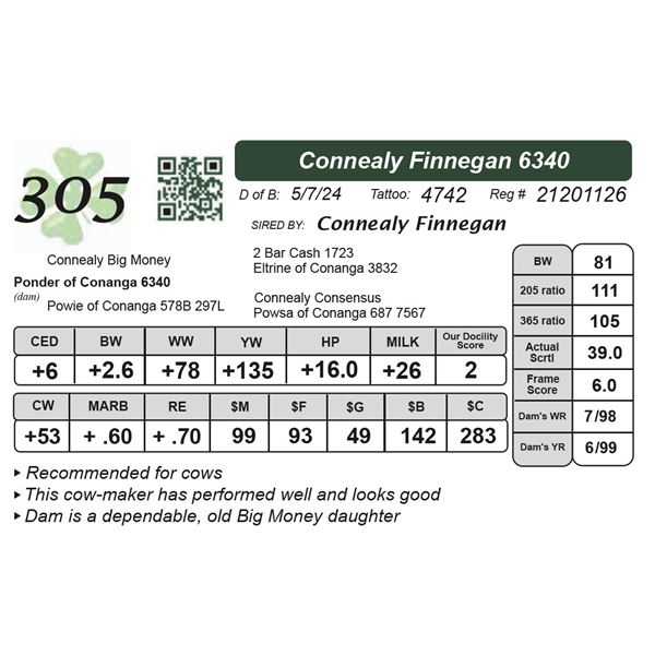 Connealy Finnegan 6340