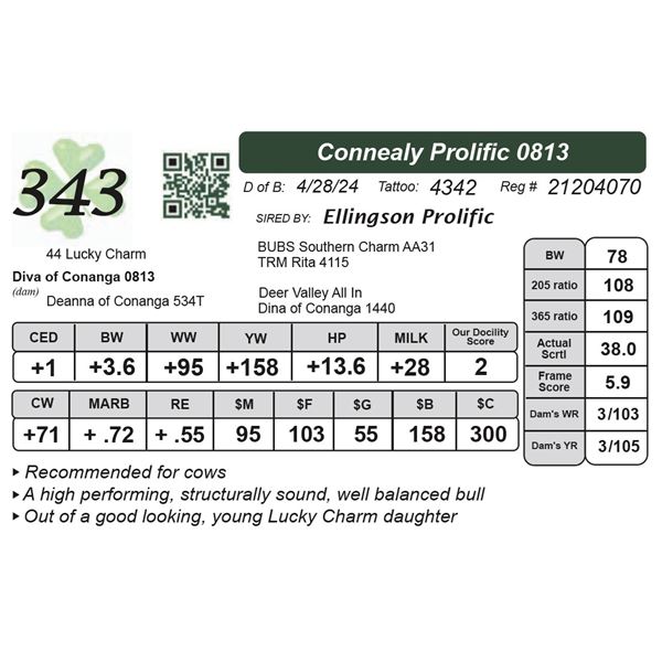 Connealy Prolific 0813