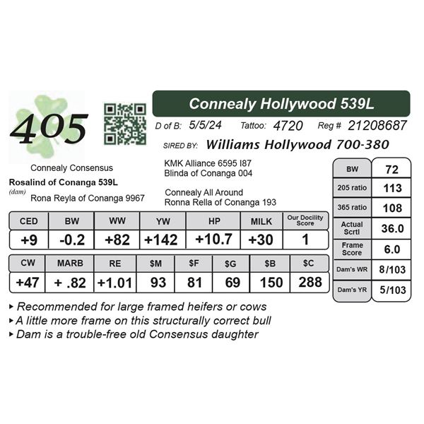 Connealy Hollywood 539L