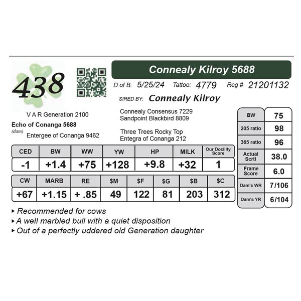 Connealy Kilroy 5688